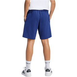 adidas Seasonals Collegiate Typography Sweatshorts Kinder