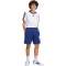 adidas Seasonals Collegiate Typography Sweatshorts Kinder