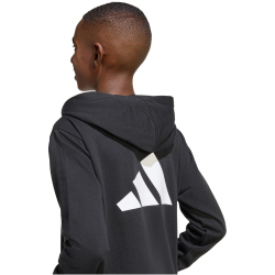 adidas Color Block Hoodie Kinder