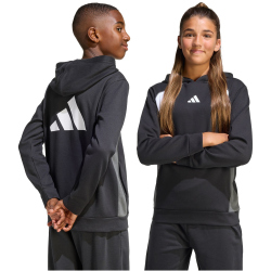 adidas Color Block Hoodie Kinder