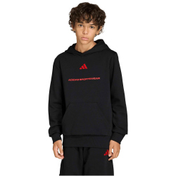 adidas Slogan Fleece Hoodie Jungen KG7385 - black 128