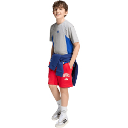 adidas Color Block T-Shirt Kinder KE2772 - medium grey heather/team royal blue/glow blue 176
