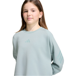 adidas Future Icons 3-Streifen Cropped Sweatshirt...