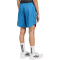 adidas Sport Icons Allover Print Trainingsshorts Mädchen KB9556 - ray blue/dusky petrol/dusky petrol 140