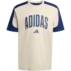 adidas Collegiate T-Shirt Herren KC3416 - wonder...