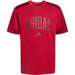 adidas Collegiate T-Shirt Herren JZ0170 - active maroon/collegiate burgundy M