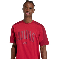 adidas Collegiate T-Shirt Herren JZ0170 - active maroon/collegiate burgundy M