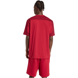 adidas Collegiate T-Shirt Herren JZ0170 - active maroon/collegiate burgundy M