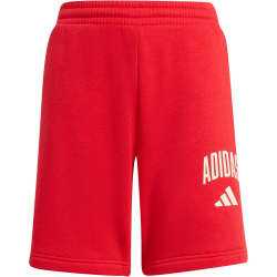adidas Seasonals Collegiate Typography Sweatshorts Kinder...