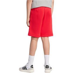 adidas Seasonals Collegiate Typography Sweatshorts Kinder...