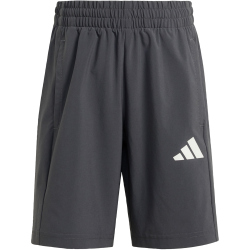 adidas GoTo 1/4-Zip Sweatshirt + Shorts Set Kinder KB6864 - off white/wonder sage/white 110