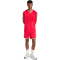 adidas Stadium Mesh Sweatshorts Herren JZ6857 - pure ruby/crystal linen/off white S