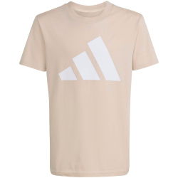 adidas Essentials T-Shirt + Shorts Set Kinder KD6057 - crystal linen/white 176