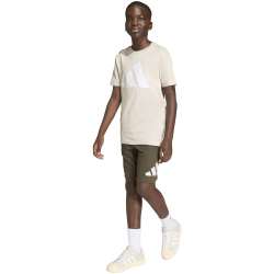 adidas Essentials T-Shirt + Shorts Set Kinder KD6057 - crystal linen/white 176
