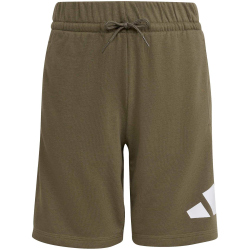 adidas Essentials T-Shirt + Shorts Set Kinder KD6057 - crystal linen/white 176