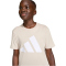 adidas Essentials T-Shirt + Shorts Set Kinder KD6057 - crystal linen/white 176