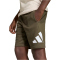 adidas Essentials T-Shirt + Shorts Set Kinder KD6057 - crystal linen/white 176