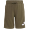 adidas Essentials T-Shirt + Shorts Set Kinder KD6057 - crystal linen/white 176