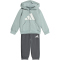 adidas Essentials Baby-Jogginganzug KD8540 - wonder sage/white 80