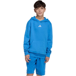 adidas Essentials Hoodie Kinder KD3382 - ray blue/white 140