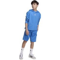 adidas Essentials Hoodie Kinder KD3382 - ray blue/white 140