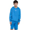 adidas Essentials Hoodie Kinder KD3382 - ray blue/white 140