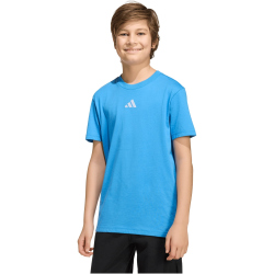 adidas Essentials T-Shirt Kinder KD3368 - ray blue/white 164