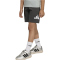 adidas Essentials T-Shirt + Shorts Set Kinder KD6004 - wonder sage/white 128