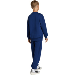 adidas Essentials Jogginganzug Kinder KD8541 - dark...