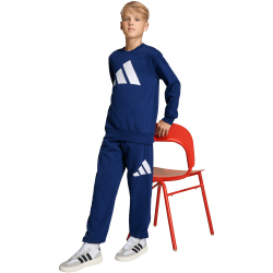 adidas Essentials Jogginganzug Kinder KD8541 - dark...