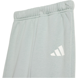 adidas Essentials Baby-Jogginganzug KD8538 - wonder sage/white 98