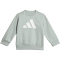 adidas Essentials Baby-Jogginganzug KD8538 - wonder sage/white 98