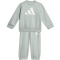 adidas Essentials Baby-Jogginganzug KD8538 - wonder sage/white 104
