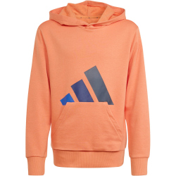 adidas Essentials Hoodie Kinder KD8456 - dusky orange/team royal blue/dark blue/aurora ink 140