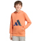 adidas Essentials Hoodie Kinder KD8456 - dusky orange/team royal blue/dark blue/aurora ink 140