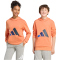 adidas Essentials Hoodie Kinder KD8456 - dusky orange/team royal blue/dark blue/aurora ink 140