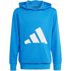 adidas Essentials Hoodie Kinder KD8454 - ray blue/white 140