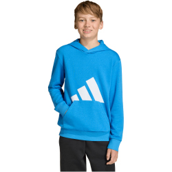 adidas Essentials Hoodie Kinder KD8454 - ray blue/white 140