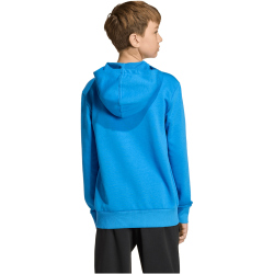 adidas Essentials Hoodie Kinder KD8454 - ray blue/white 140