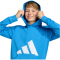 adidas Essentials Hoodie Kinder KD8454 - ray blue/white 140