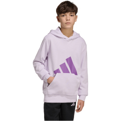 adidas Essentials Hoodie Kinder KD8453 - ice lavender/active purple 176