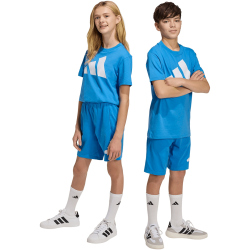 adidas Essentials Sweatshorts Kinder KD6052 - ray blue/white 164