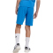 adidas Essentials Sweatshorts Kinder KD6052 - ray blue/white 164
