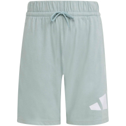 adidas Essentials Sweatshorts Kinder KD6051 - wonder sage/white 128