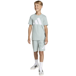 adidas Essentials Sweatshorts Kinder KD6051 - wonder sage/white 128
