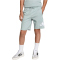adidas Essentials Sweatshorts Kinder KD6051 - wonder sage/white 128