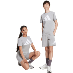 adidas Essentials Sweatshorts Kinder JV9914 - medium grey heather/white 152
