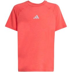 adidas All Sports Favorite T-Shirt Jungen KD8546 - dusky petrol/dusky ink/reflective silver 128