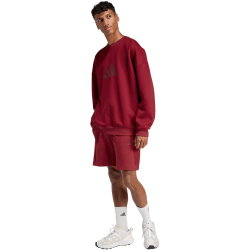 adidas Future Icons Small Logo Sweatshorts Herren KD7658 - active maroon M