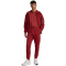 adidas Future Icons 3-Streifen Kapuzenjacke Herren KD5233 - active maroon M